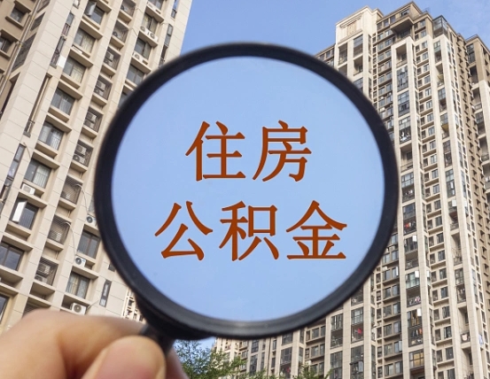 阳春退休后查不到公积金明细了吗（退休后公积金查询不到原因）